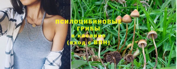 стафф Алексеевка